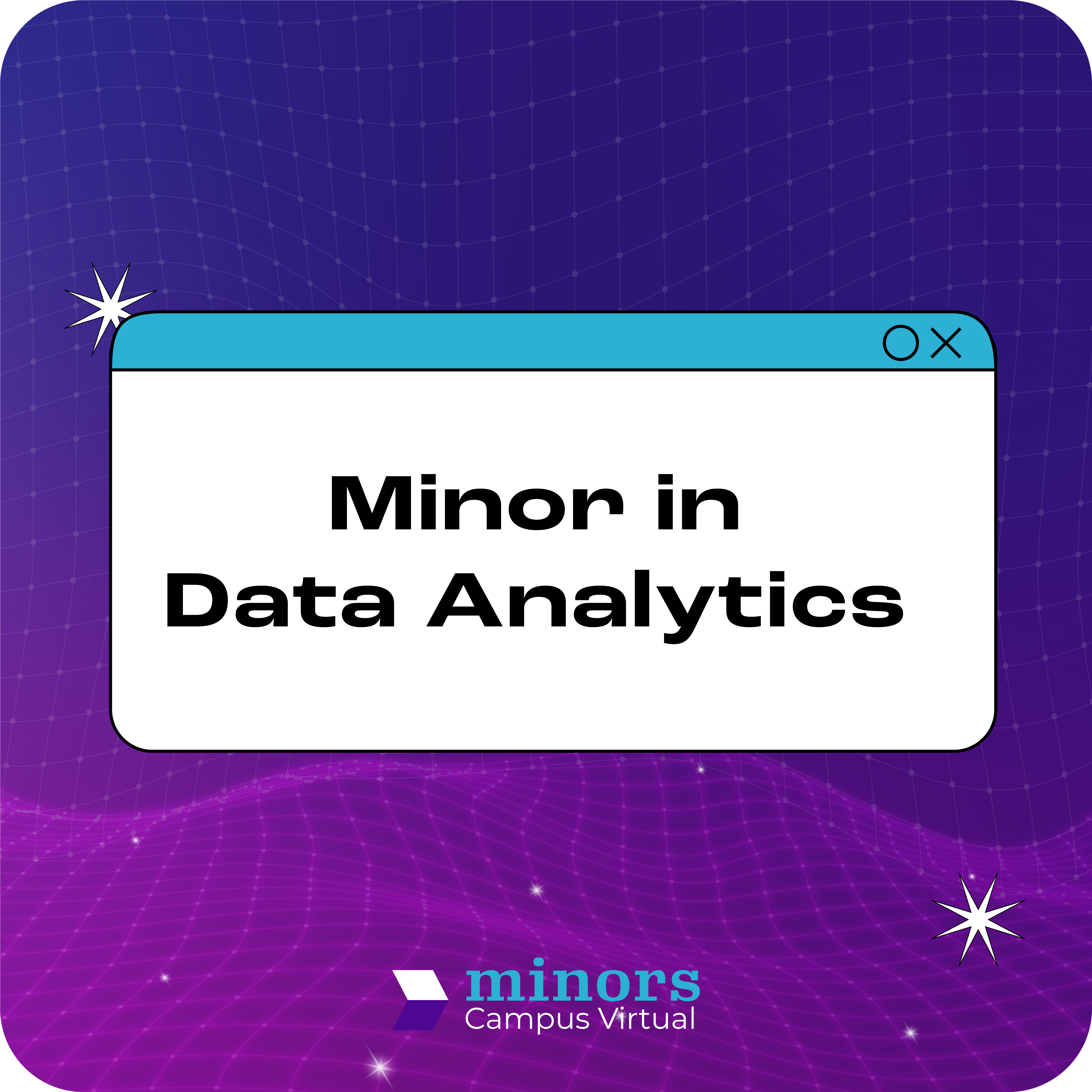 Minor in Data Analytics